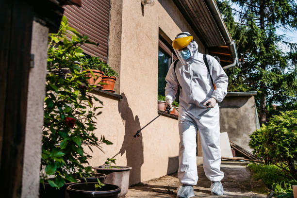 Best Flea Control Services  in Nassau Village Ratliff, FL