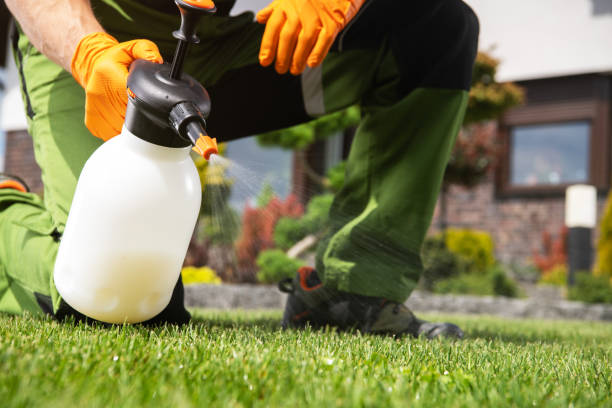 Best Rat Extermination Near Me  in Nassau Village Ratliff, FL