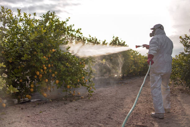 Best Exterminator Services  in Nassau Village Ratliff, FL