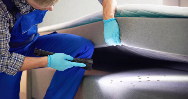 Best Spider Control Near Me  in Nassau Village Ratliff, FL