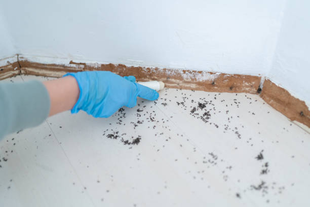 Best Affordable Pest Control Services  in Nassau Village Ratliff, FL